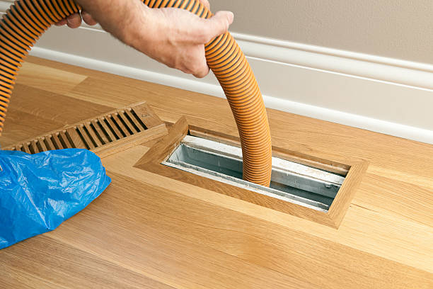 Best HVAC Maintenance and Cleaning  in Edina, MN