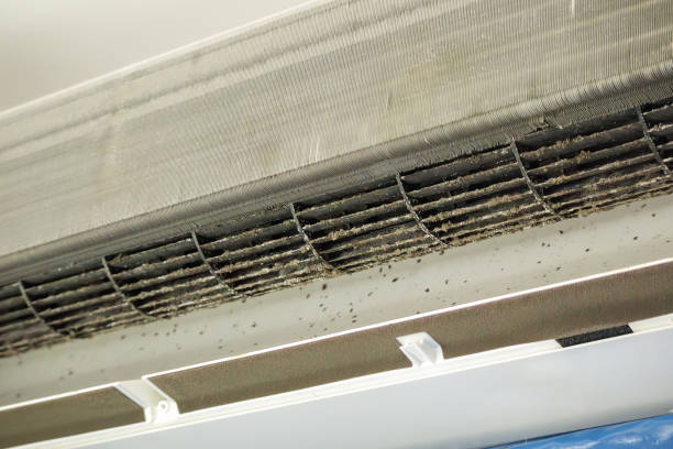 Best HVAC System Cleaning  in Edina, MN